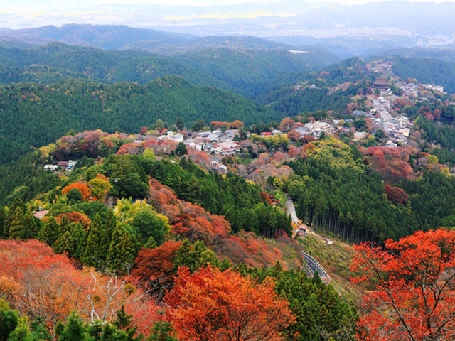 吉野山の紅葉 見頃の時期や混雑状況 ライトアップなどの情報 大阪在住 中年1年生の雑多なブログ